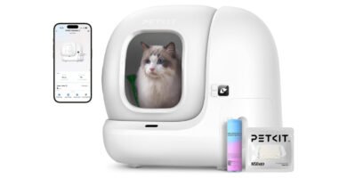 Arenero automático PETKIT Pura MAX 2 con un gato real en su interior, acompañado de un smartphone con la app conectada y accesorios como el desodorizador PETKIT N50 2.0.